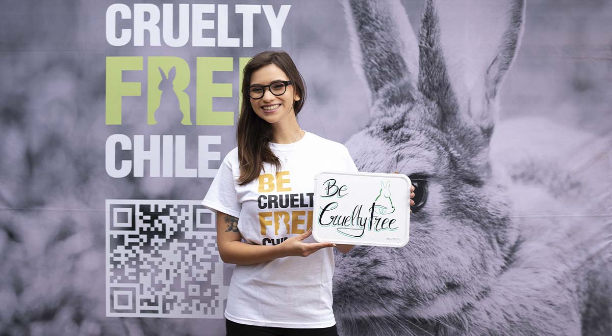 La Ong Te Protejo trabaja desde el 2012 para terminar con el testeo animal en la industria de cosméticos. A un año de su promulgación y tras un periodo de adaptación, la ley que prohíbe esta práctica entró en total vigencia.