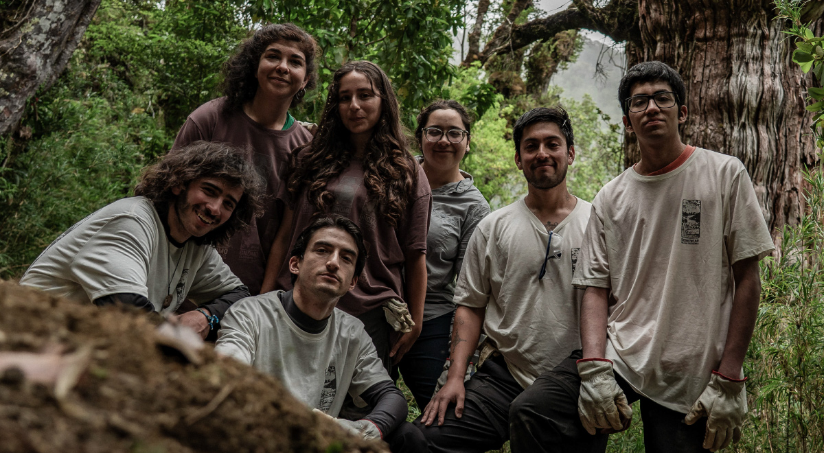  “Manos a la Pala”, iniciativa impulsada por la ONG Entre Lengas junto a CONAF Los Ríos, que reunió a voluntarias y voluntarios de Chile y Argentina para ejecutar labores clave de conservación en el sendero Mirador del Alerce Milenario, en el Parque Nacional Alerce Costero.